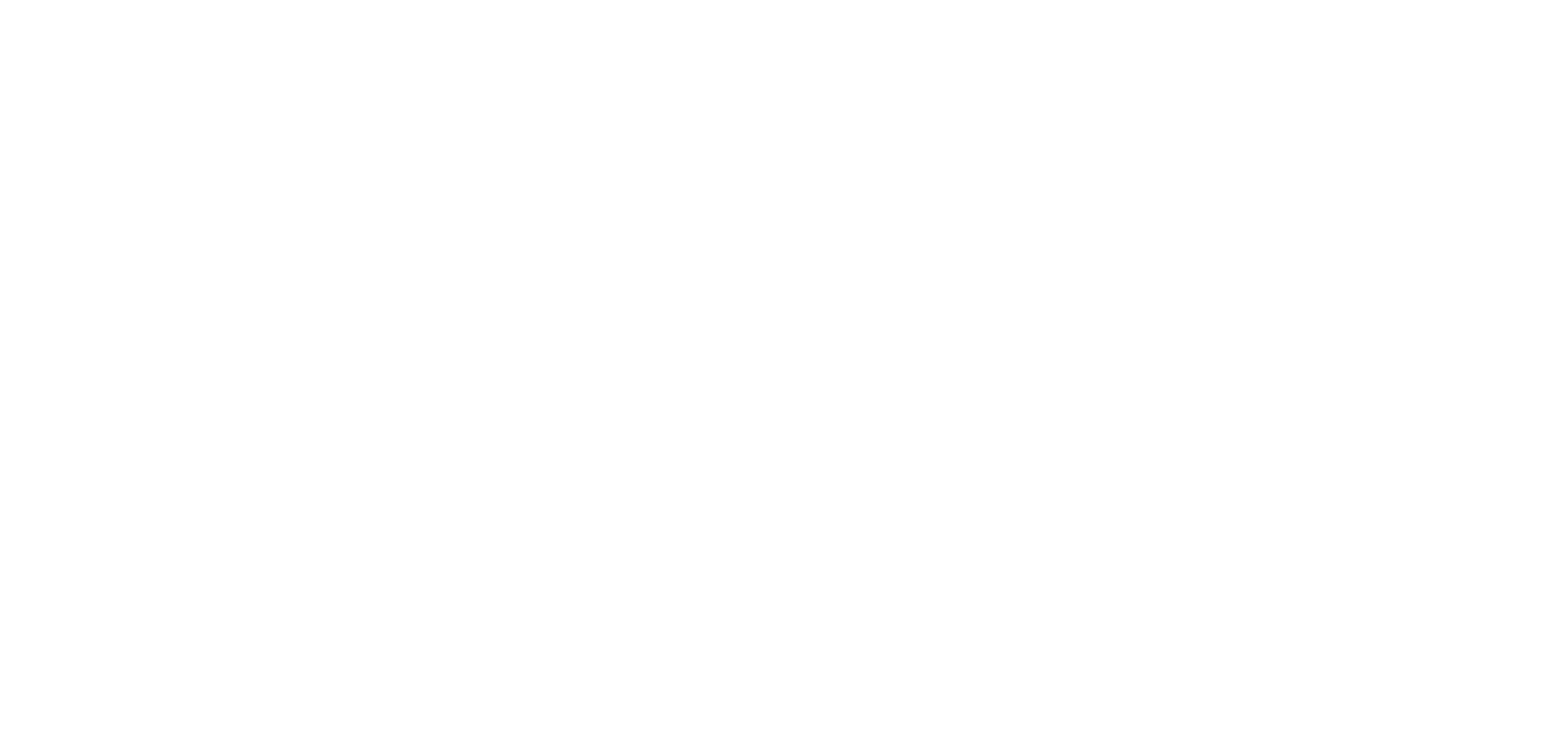 The Witness Academy